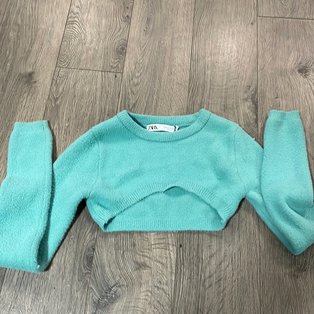 Zara Micro Sweater
